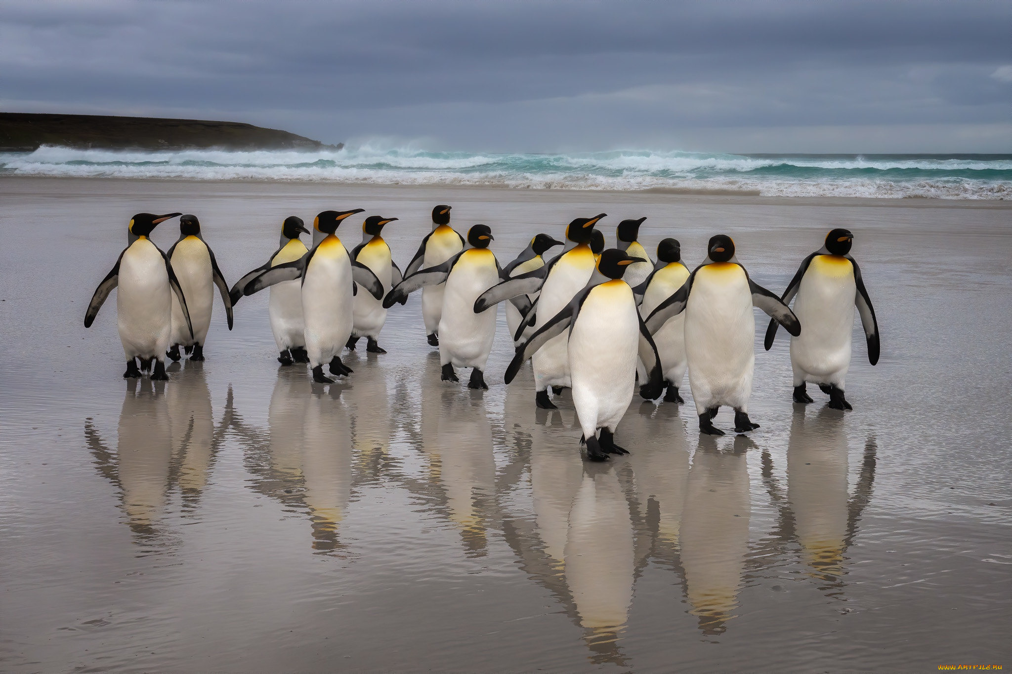 ��������, ��������, �����